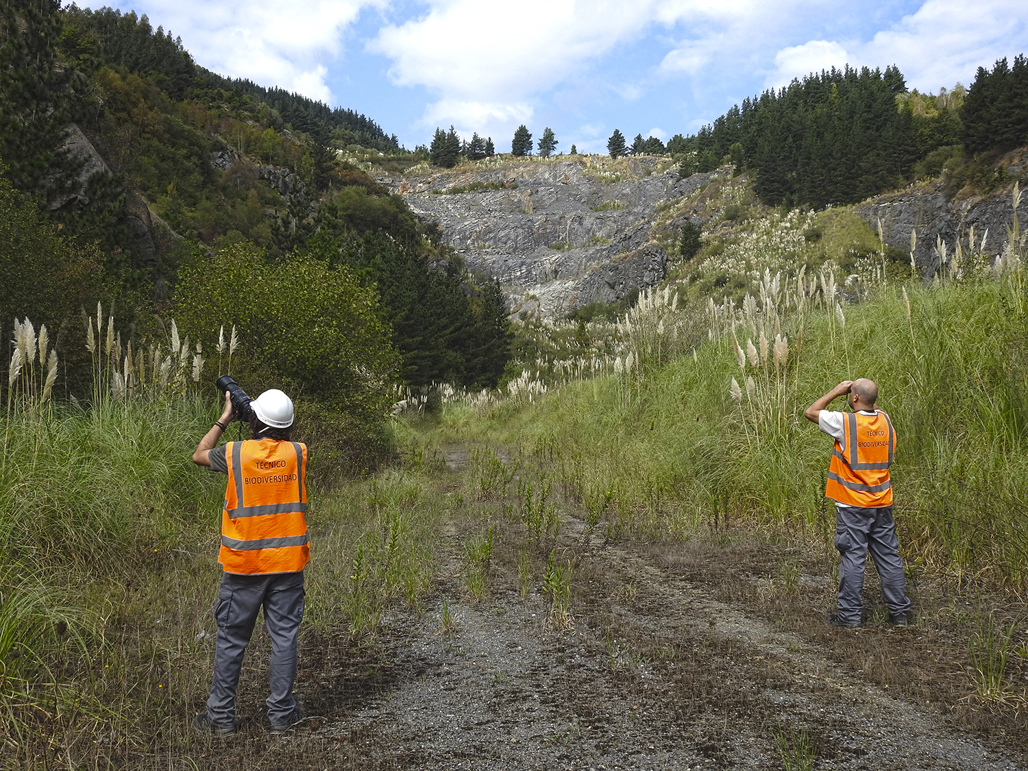 Técnico de biodiversidad trabajan en una cantera de Heidelberg Materials.