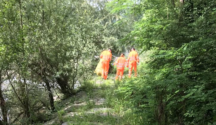 Participación de voluntarios de la fábrica de cemento de Arrigorriaga en la popular Aste Berdea o Semana Verde.