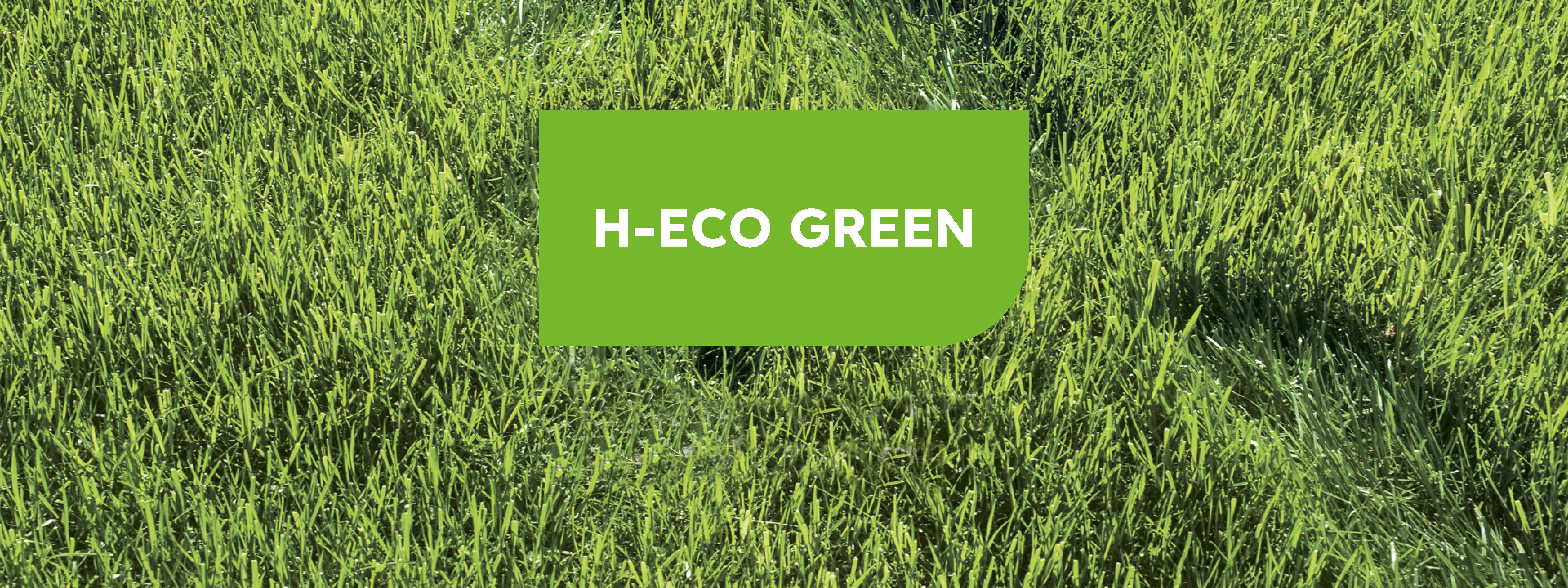Cesped verde con cartel H-ECO GREEN también en verde