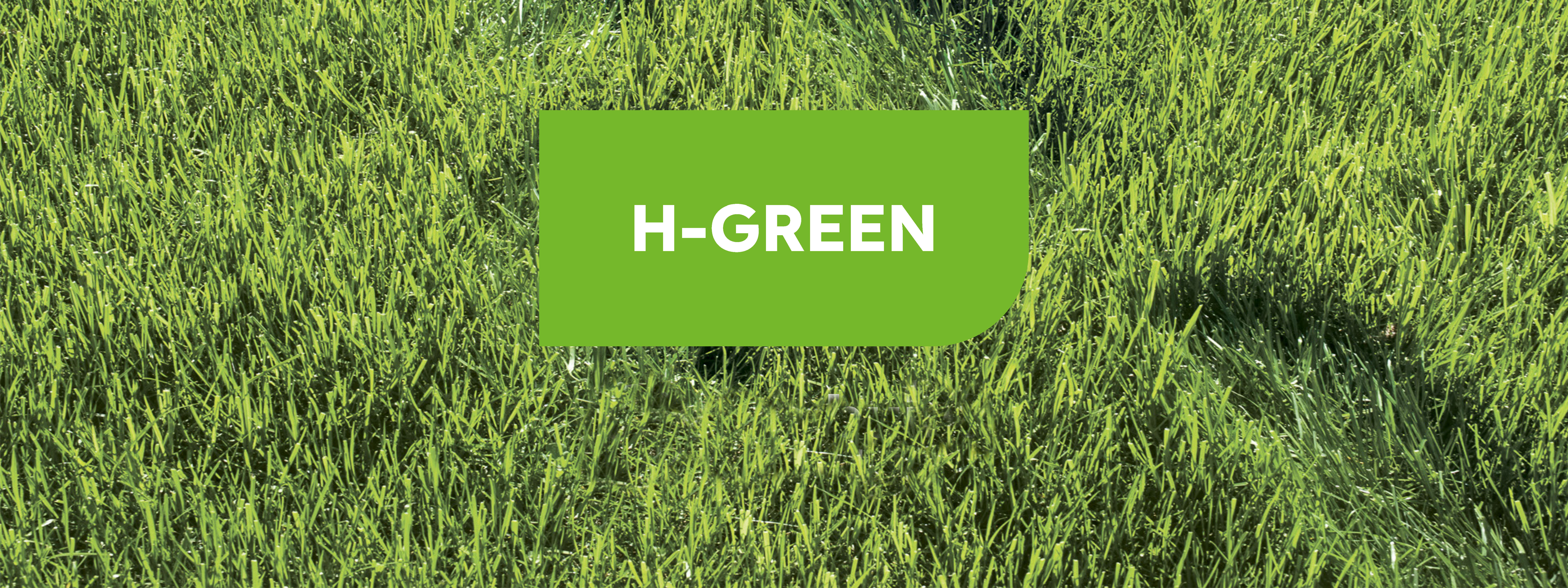 H-GREEN