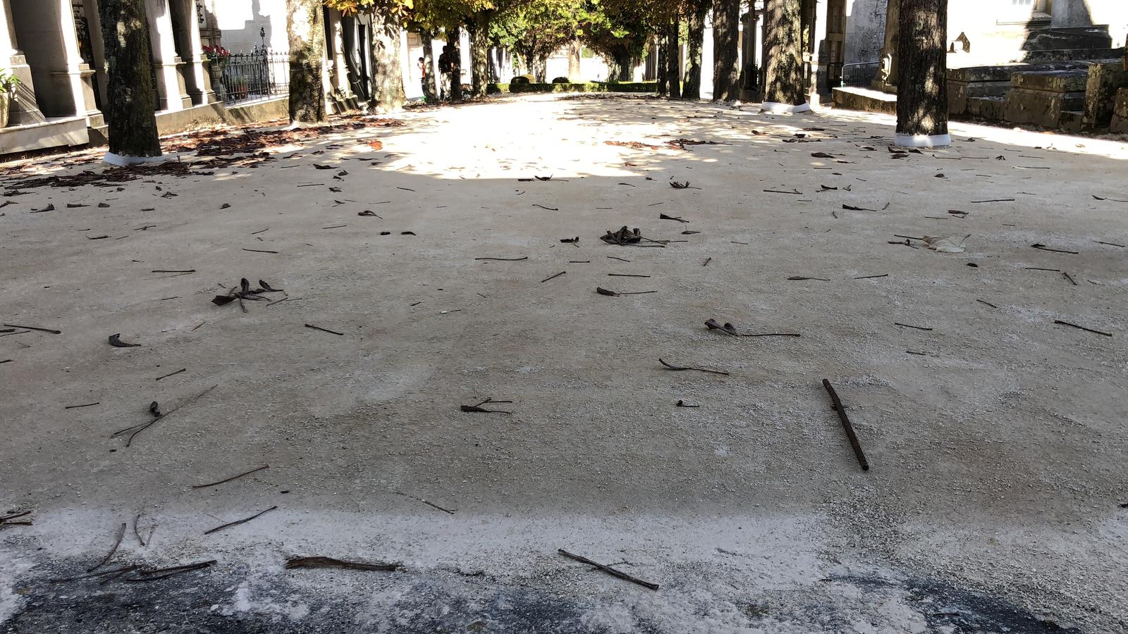 Proyecto senderos del Cementerio de Pereió (Vigo, Pontevedra) con i.pro STABEX