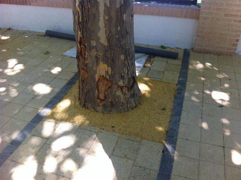 Proyecto de remodelación de los exteriores de la Plaza de Toros de Alalpardo con i.pro STABEX
