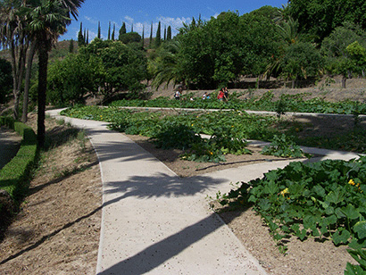 Proyecto senderos del Jardín Botánico de la Concepción en Málaga con i.pro STABEX