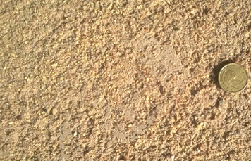 Una moneda dorada sobre un camino de tierra