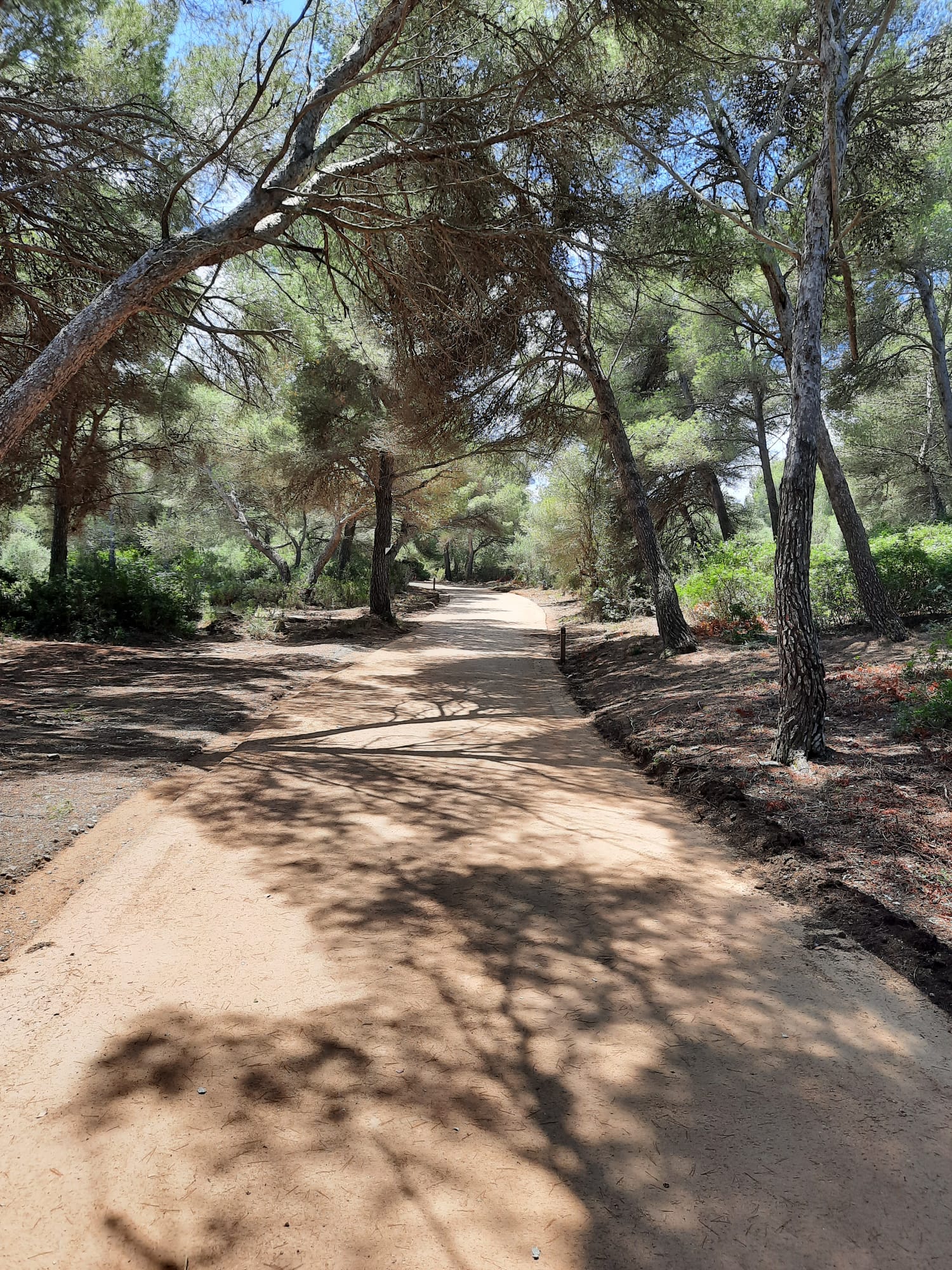 Rutas de senderismo y cicloturismo de Santa Margalida, Mallorca, con el estabilizador hidráulico i.tech STABILE de FYM-HeidelbergCement