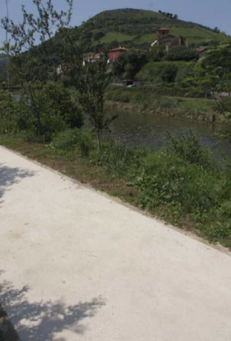 camino de tierra junto a un monte verde