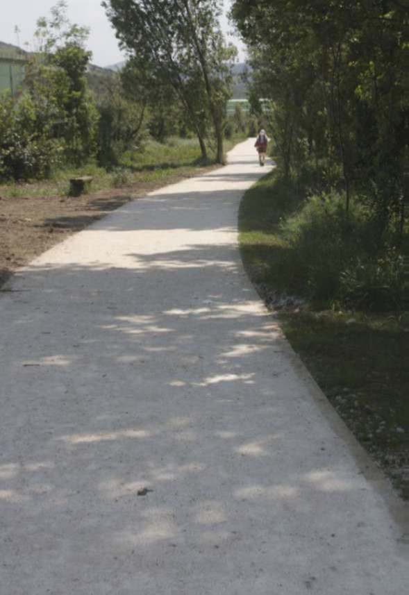 Camino de tierra rodeado de árboles