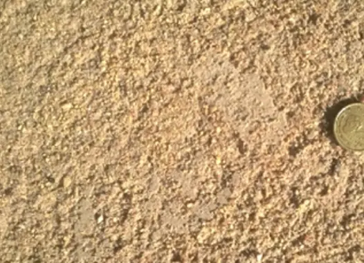 Una moneda dorada sobre un camino de tierra