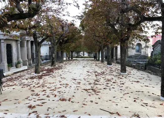 Proyecto senderos del Cementerio de Pereió (Vigo, Pontevedra) con i.pro STABEX