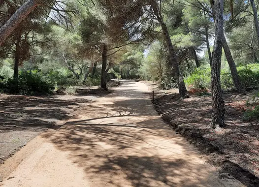 Rutas de senderismo y cicloturismo de Santa Margalida, Mallorca, con el estabilizador hidráulico i.tech STABILE de FYM-HeidelbergCement